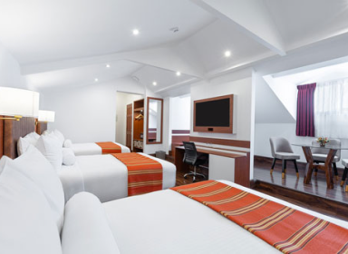 HABITACION PREMIUM
